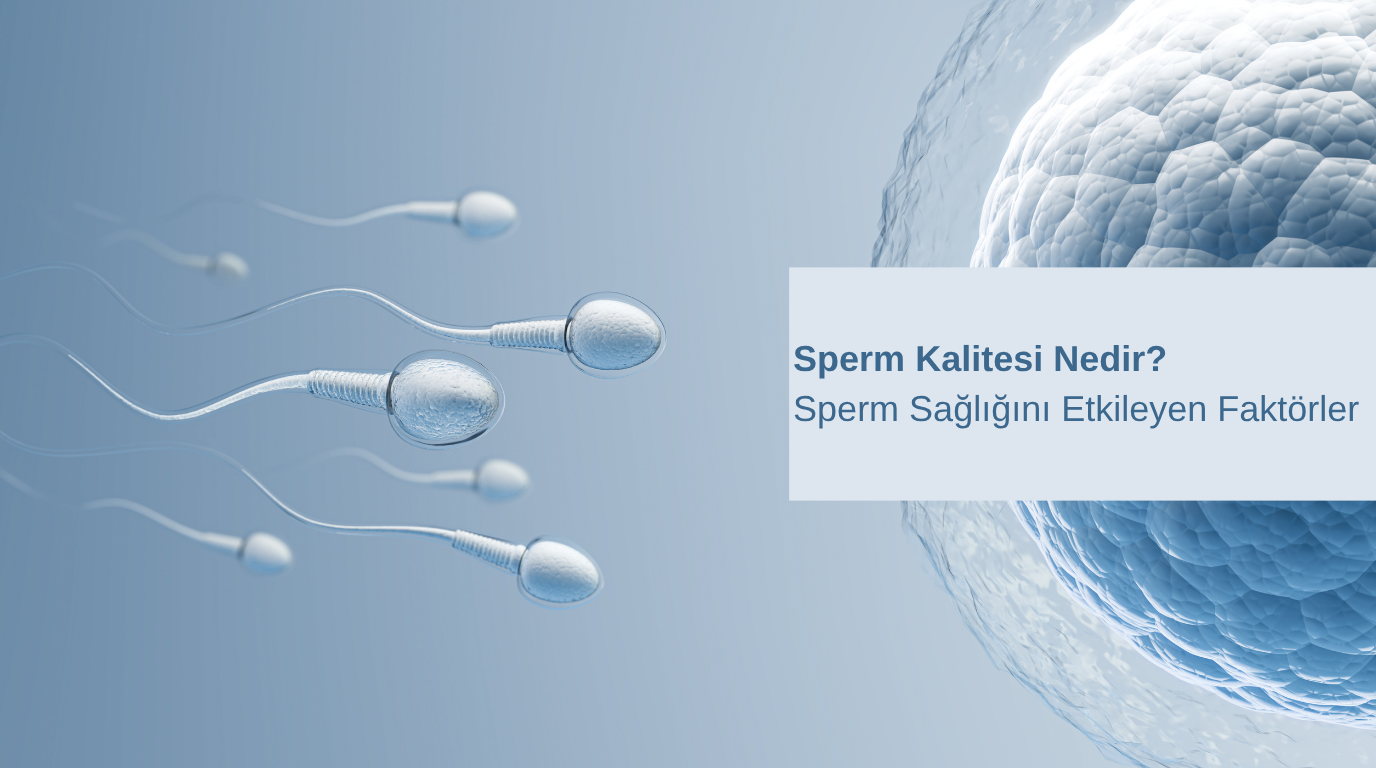 Sperm Kalitesi Nedir? Sperm Sağlığını Etkileyen Faktörler