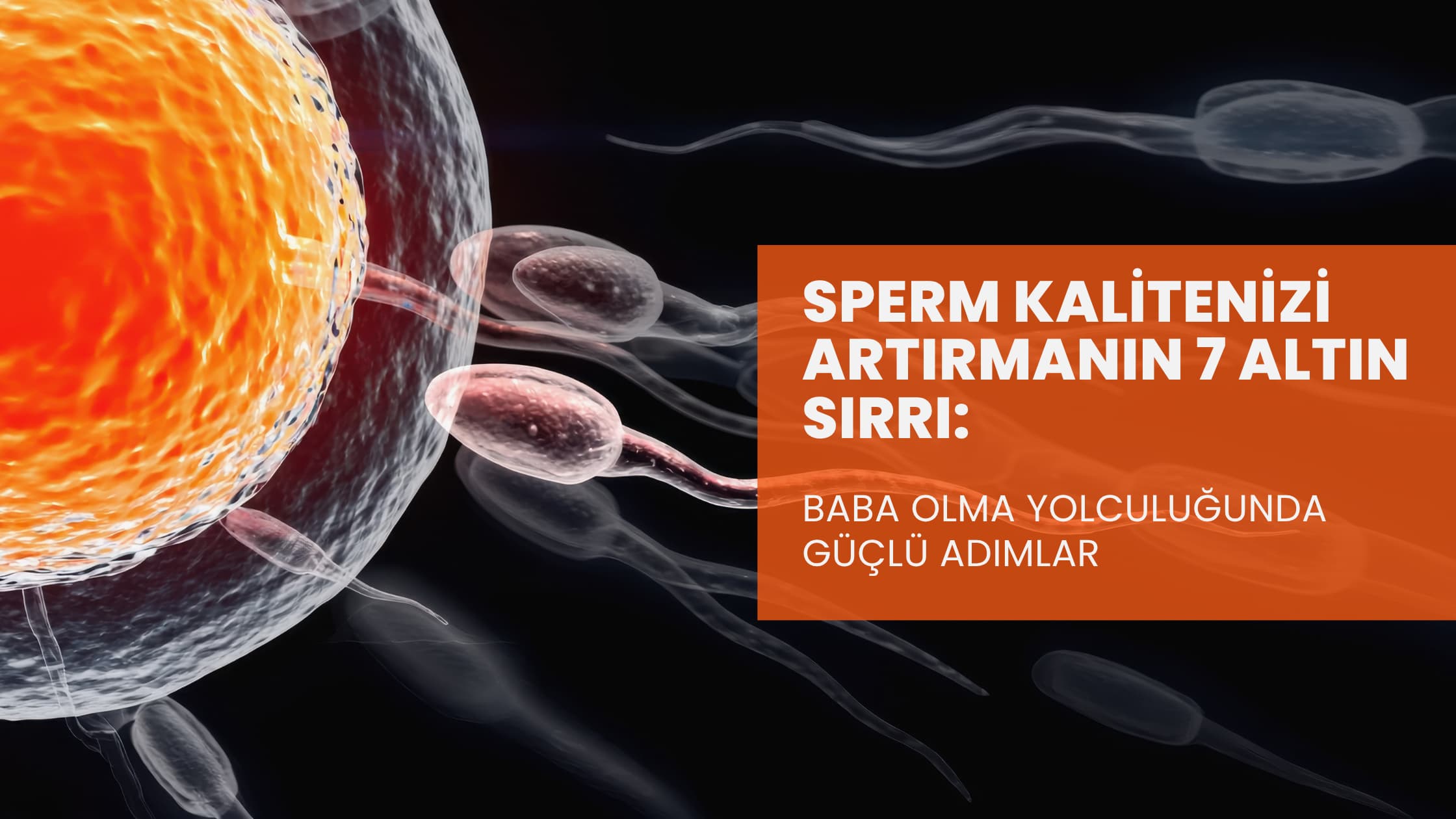 Sperm Sayısı ve Sperm Kalitesi Nasıl Arttırılır?
